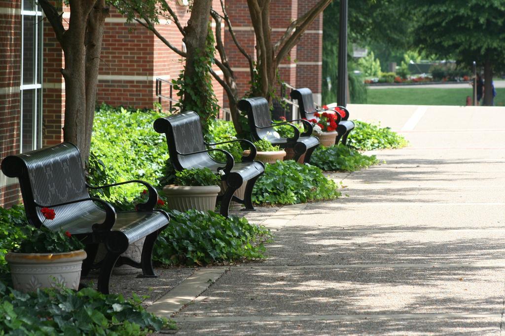 Country & By Radisson, Clarksville, Tn Hotel 3*